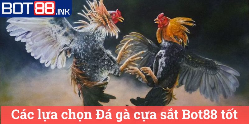 Đá gà cựa sắt Bot88 - Thế Giới Đá Gà Đỉnh Cao 2 Các lựa chọn Đá gà cựa sắt Bot88 tốt