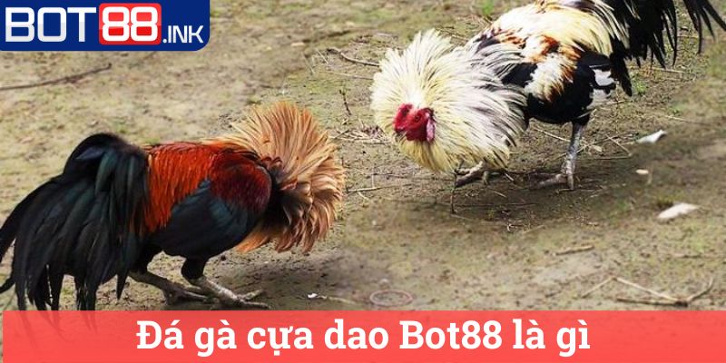Đá gà cựa dao Bot88: Chiến thuật Chơi Hiệu Quả 1 Đá gà cựa dao Bot88 là gì