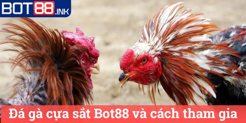 Đá gà cựa sắt Bot88 - Thế Giới Đá Gà Đỉnh Cao 3 Đá gà cựa sắt Bot88 và cách tham gia