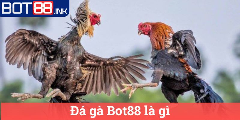 Đá gà Bot88 là gì